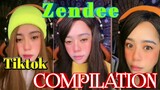 Zendee funny TIKTOK Compilation