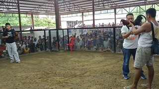 New village cockpit 2nd fight champion 🏆