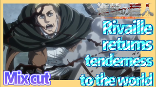 [Attack on Titan]  Mix cut | Rivaille returns tenderness to the world