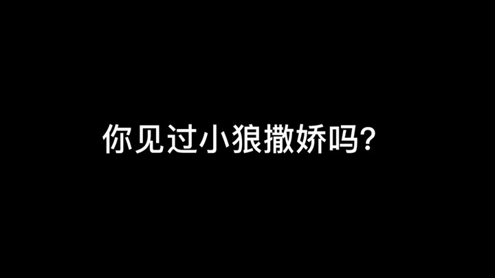 [Liu Yaowen] The little wolf cub’s cuteness is so sweet it’s got me melting—Is this even a wolf? Mor