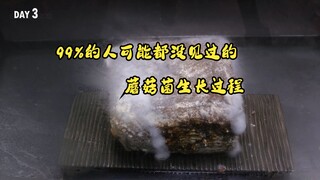 99% of people have probably never seen the growth process of mushrooms.