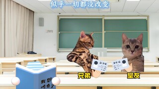 عندما تغفو في حصة الدراسة الذاتية وترتفع أغنيتك فجأة