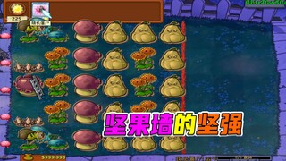 植物大战僵尸：一五路输出多元化，大道至简一招制敌