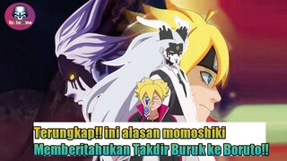 Ternyata ini alasan momoshiki terus menerus memberi tahu takdir buruk kepada boruto!