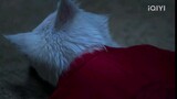 ตำนานแมวขาวแห่งศาลต้าหลี่ EP:31 (พากย์ไทย)