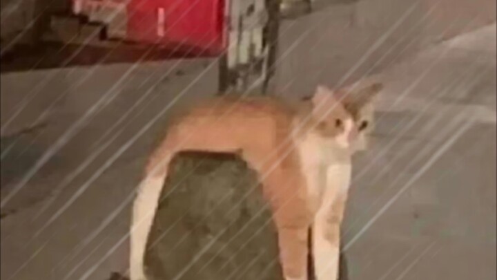 แอปพลิเคชันฮว่าสื่อจี้ สร้างเอฟเฟกต์ฝนตกอย่างรวดเร็ว