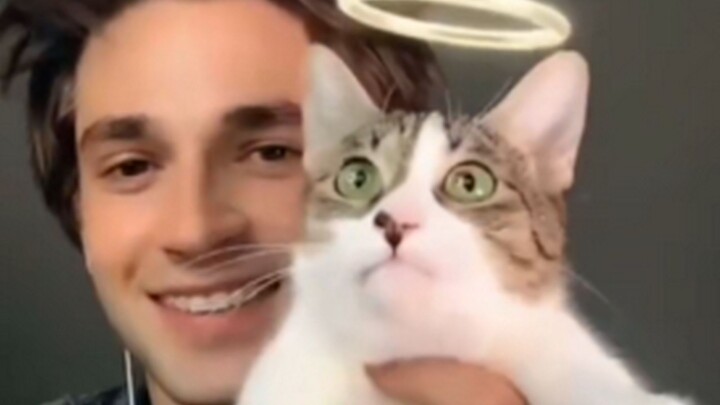 一款可以看清猫猫是天使还是恶魔的特效
