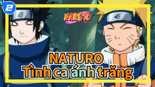 NATURO|【Sasuke/Naturo】Tình ca ánh trăng-0723，Chúc mừng sinh nhật，Sasuke Uchiha_2