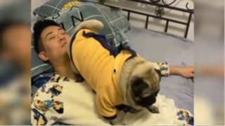 Khi các Boss tấu hài cùng Sen P.38