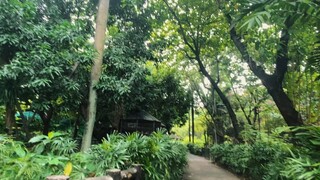 EFFECTIVE INTERCULTURAL COMMUNICATION FILM