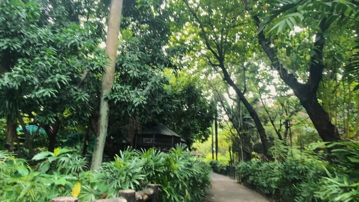 EFFECTIVE INTERCULTURAL COMMUNICATION FILM