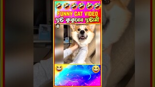 🤣দুষ্ট কুকুর এর দুষ্টমী🤣| Funny dog videos Bangla | Funny Animals | Funny Dog