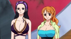 1 Alasan Kenapa Kalian Menonton ONE PIECE ⌓‿⌓