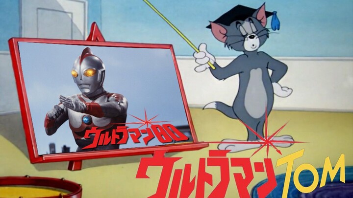 爱 迪 奥 特 猫