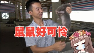 [Ya酱/熟肉/B限]“鼠鼠怎么可爱、怎么可以吃鼠鼠！”