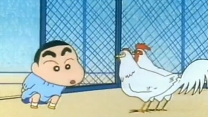 การสื่อสารที่ไร้สิ่งกีดขวางกับสัตว์ตัวเล็ก~น่าทึ่งมาก