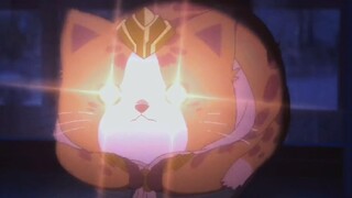 แมวน่ารักจัง