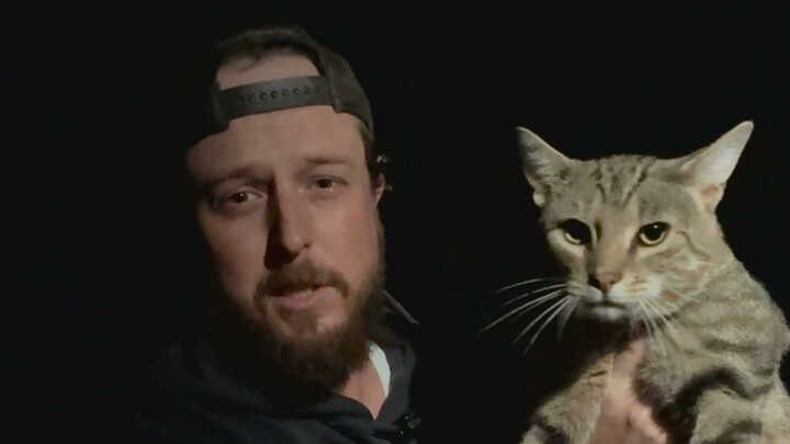 Con mèo này đúng là đồ khốn.