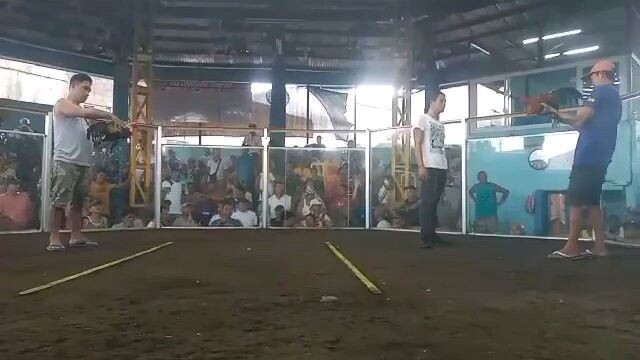 pili cam sur sports arena milsims black wins