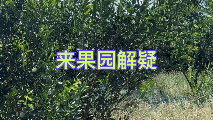 Datang dengan pertanyaan, pulang dengan kepuasan penuh