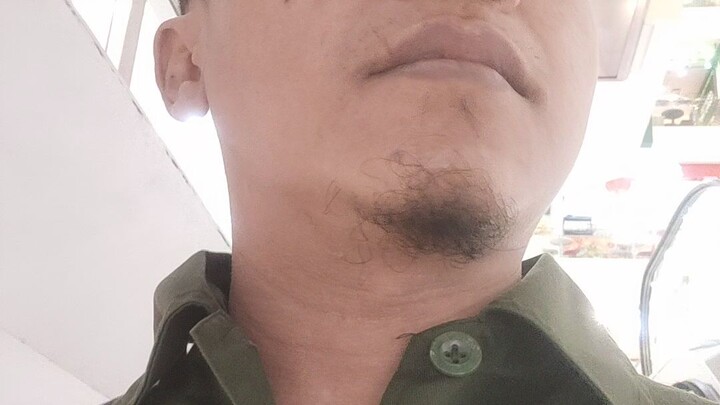 perdana