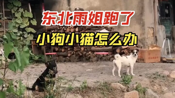 In this Truman Show, only the abandoned ones take it seriously.