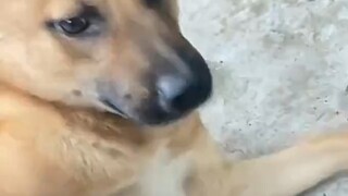 If it's the owner, then it's not impossible.