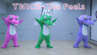 🐊 TWICE-「The Feels」翻跳 小绿胖儿术后第一跳