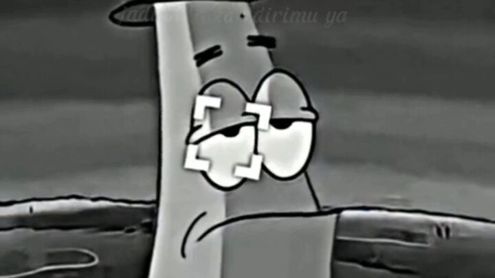 petrik 🗿