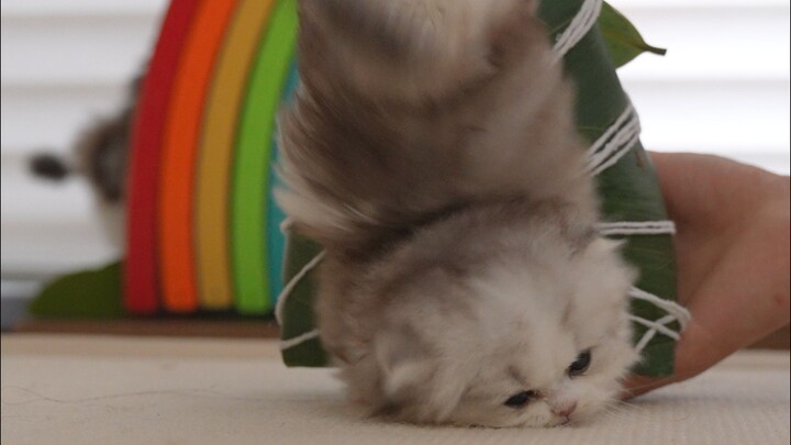 The zongzi filling ran away!