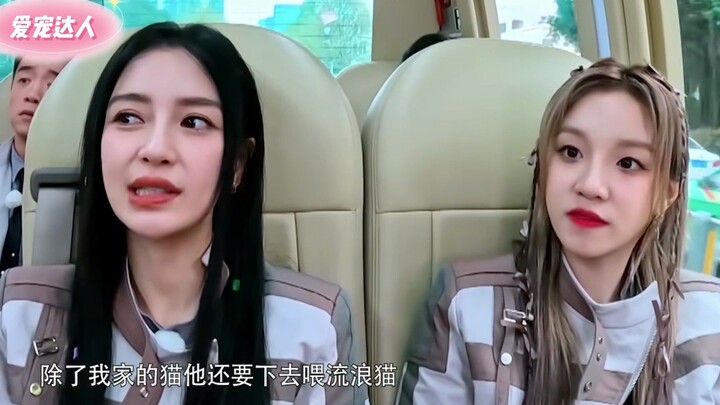 Unaired: Angelababy Can Only Sit on the Floor at Home Because She’s Raising 9 Cats and 1 Dog!