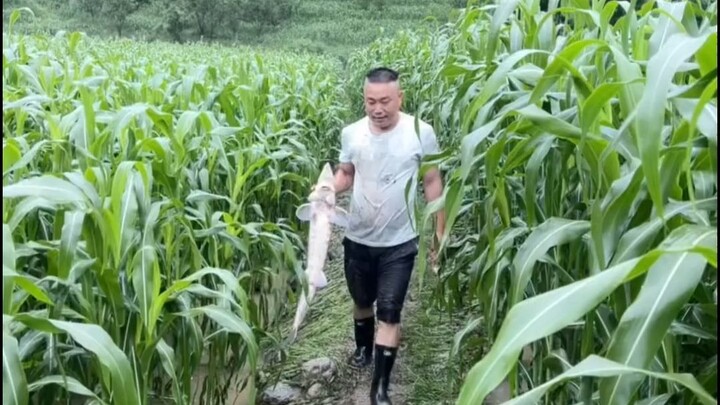 ฝนตกหนัก นักตกปลาแฮปปี้ แต่บ่อปลาช้ำ!