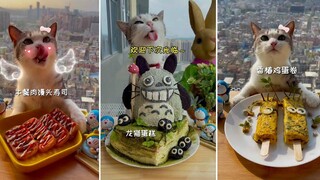 รวบรวมวิดีโอแมวน่ารักและตลก 😍🐶 แมวไม่ใช่แค่สัตว์แต่ยังเป็นเพื่อนกัน - ตอนที่ 183