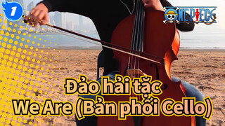 [Đảo hải tặc] We Are-Nhạc nền bởi: Cellofox (Bản phối Cello)_1