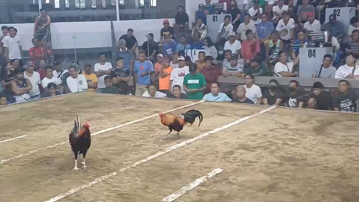 imus arena 2 ulutan 1st fightbasaan matira matibay