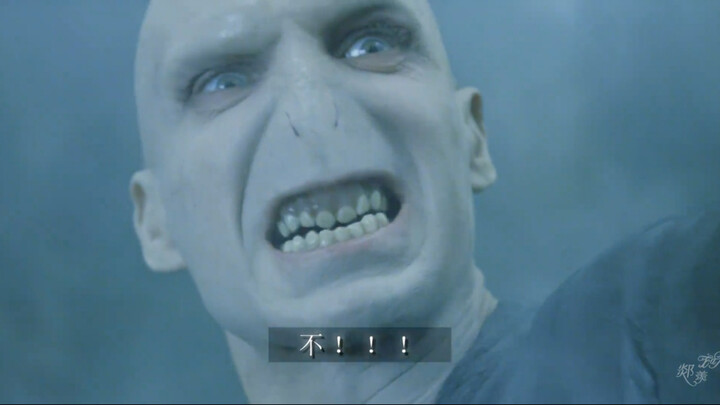 Voldemort: “No one told me this wand couldn’t kill him!”