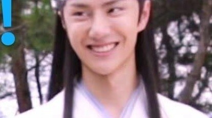 【The Untamed】All Tiger and Wolf Cut