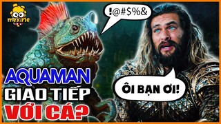 GIẢI MÃ CÁCH AQUAMAN NÓI CHUYỆN VỚI SINH VẬT BIỂN | meXINE Khoa Học