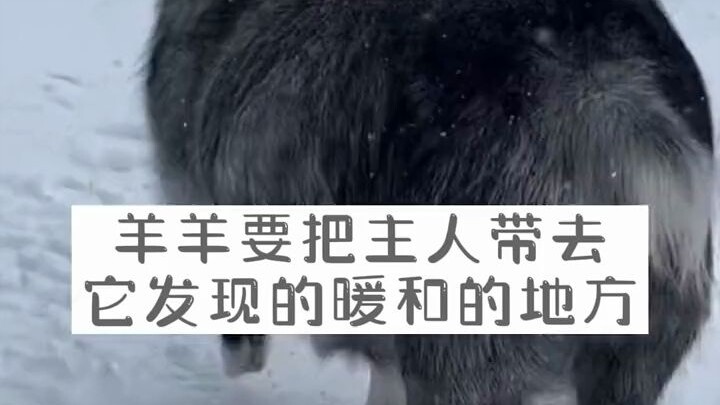 تعال معي بسرعة