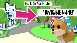 How To Make Your Pet's Name Invisible! Adopt Me, Roblox