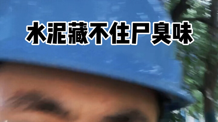 ปูนซีเมนต์สามารถซ่อนกลิ่นเหม็นของศพได้หรือไม่?