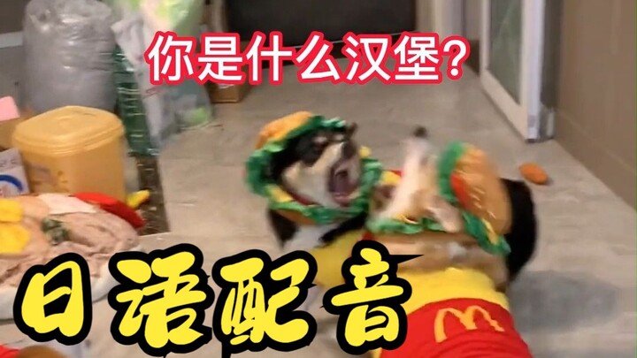 "أنتِ يا دجاجة المايسيان تتحدّثين معي، أنا برغر ساق الدجاج الحار بالماي؟"