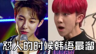 论东北仁和东北浩的怼人同步率  建议全文背诵