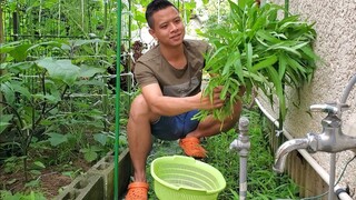 Rau Muống Xào Tỏi và Tôm Ram với Thịt | Út Đạt | #285