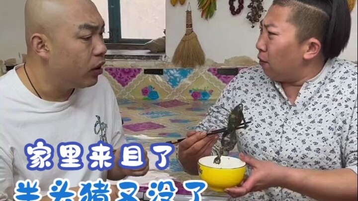 半头猪又没了！老蒯疯狂吐槽：一天天的太能败家了
