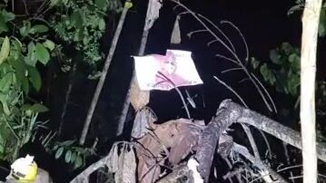 penampakan asli kuntilanak merah dan putih Kalimantan timur berau