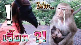 แต่ง SCP อีกา ไปให้อาหารลิง !! ลิงจะกลัวมั๊ย ดรีมสายฮา.. - DING DONG DAD