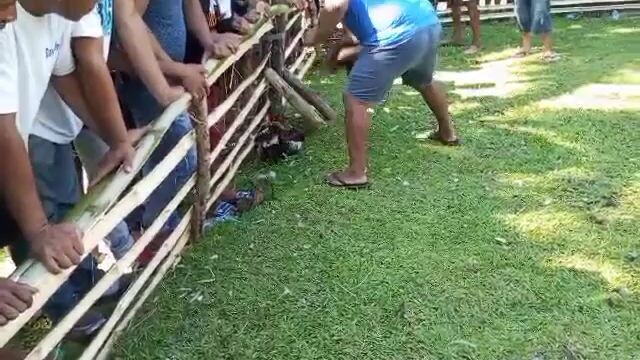 win walang sugat 😁