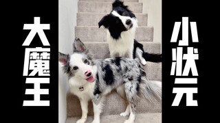 سأقوم بتفريق هذا الثنائي المفضل لديكم بشدة