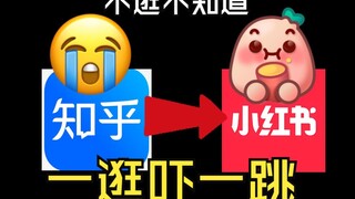 知乎答主转战小红书第一天就破防了